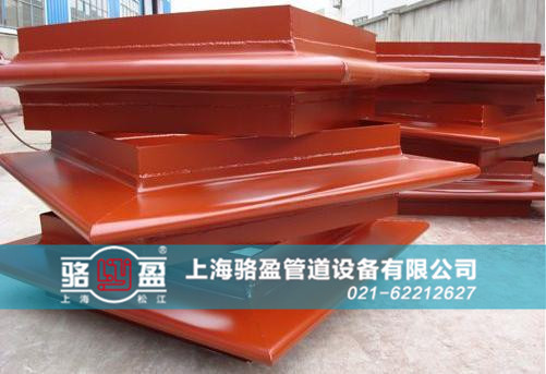 駱盈<a href=http://www.duobaoer.cn target=_blank class=infotextkey>補(bǔ)償器</a>近景圖